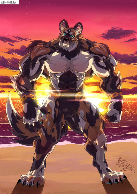 african wild dog at the beach commission